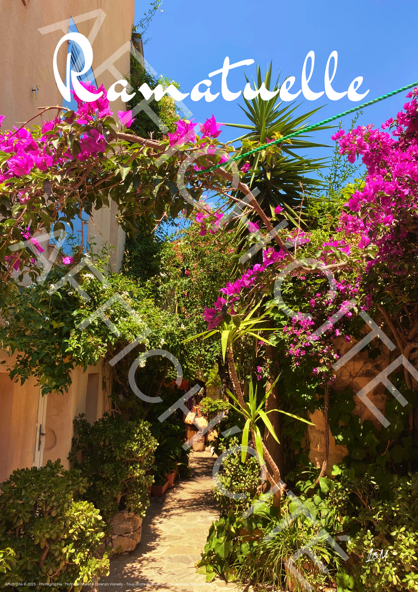 Ramatuelle Bougainvillier