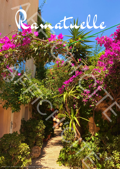 Ramatuelle Bougainvillier