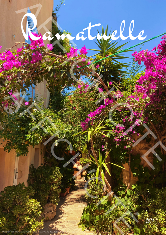 Ramatuelle Bougainvillier