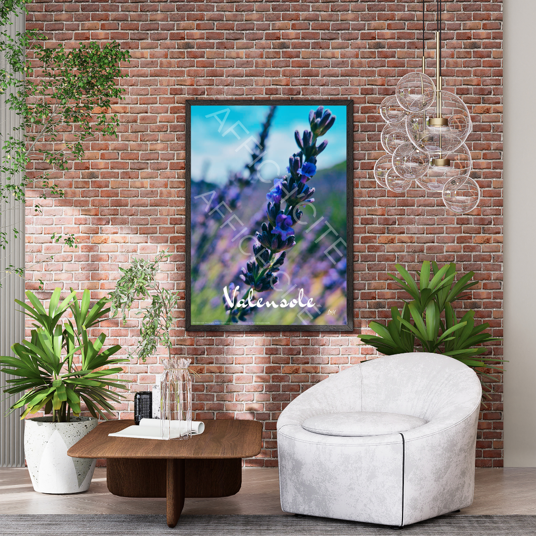 Valensole Lavande