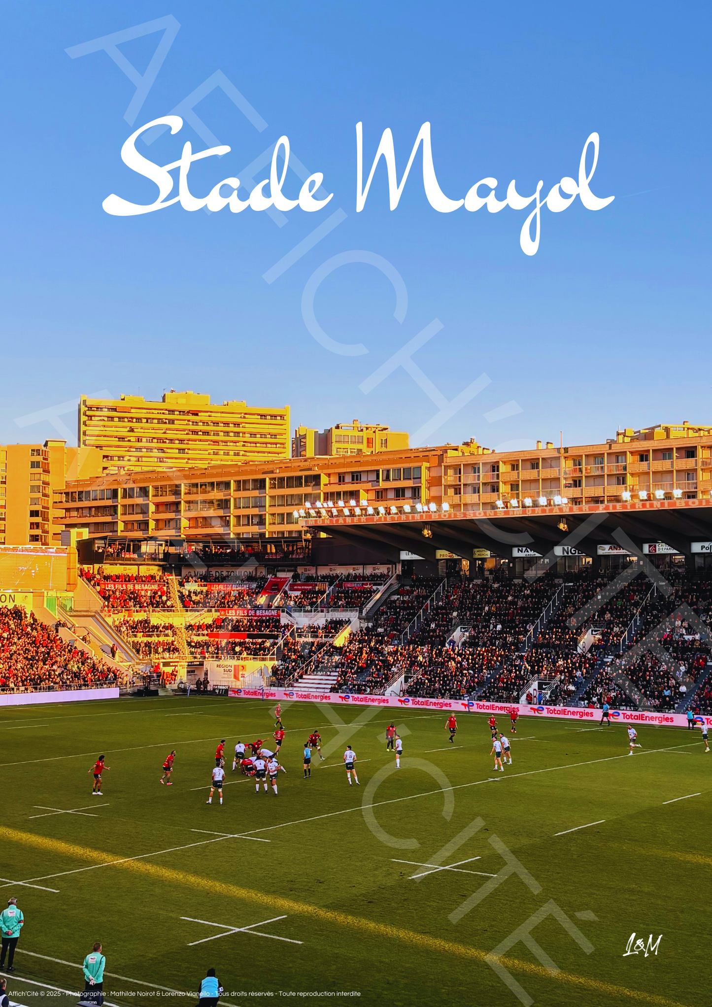 Stade Mayol